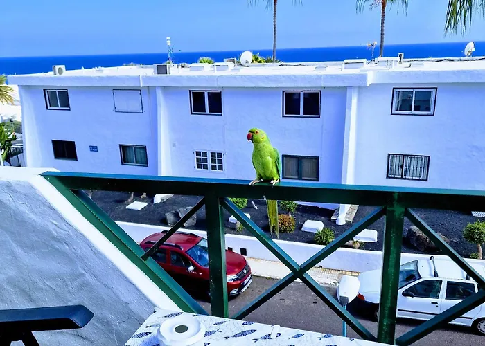 Floor Ocean Views Lanzamar - Renovated Gem With A Sunny, Private Terrace & Elevator & Pool - 아파트 푸에르토 델 카르멘